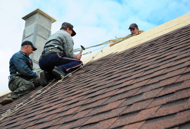 Professional Roofing Contractor in Unicoi, TN