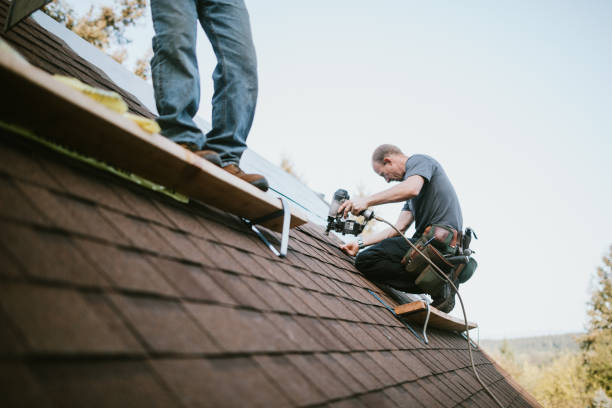 Best Gutter Installation and Roofing  in Unicoi, TN